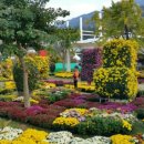 풍천장어 숯불구이 이미지