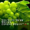 ＜07,21.주일오후에배설교＞ 하나님께 쓰임 받는 재물 이미지