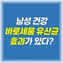 세움솔루션 | 바로세움 유산균 효과, 부작용, 후기 총정리 (남성 전립선 건강)