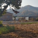 지정면 행정복지센터 이미지