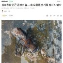 김포공항 인근 공장서 불… 北 오물풍선 기폭 장치 나왔다 이미지