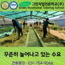 미래조경인력 이미지