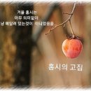 1월24일 수요일 제주사랑방 아침인사 이미지