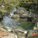 인생학교 봄 이미지