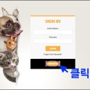 유펫