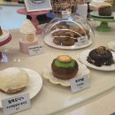 하이도나 이미지