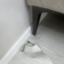 로젠 | 로젠이사 내돈내산 후기 절대 비추천