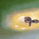 수군농장 이미지