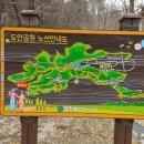 도안중로 이미지