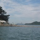 하송도 Daum백과