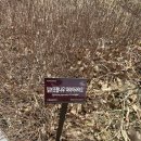 율곡수목원(3) 이미지