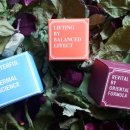 사이언스 미니어처 이미지