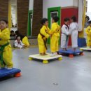 키즈연세태권도장 이미지