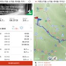제일문산장 | 20-04-29 지리산 천왕봉 303회차 산행(백무동-천왕봉 왕복 코스)- 이제서야 봄이 찾아온 지리상봉