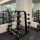 바디핏 | 대전 헬스장 추천 헬스와 필라테스 가능한 헬스바디필라핏 후기