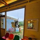 청보농장 | 제주 풋귤 체험 카페 풋귤청 만들기 '탐나는농장'