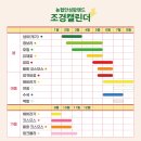 안연목장 | 서울 근교 여행 [안성 팜랜드] 방문후기 및 팁 대방출 (양이 돌아다님)