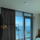 더레지아D 이미지