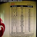 아이언 플렉스(IRON FLEX) 이미지