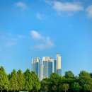 상하벌로 이미지