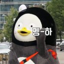 미즈노포천송우점 네이버블로그