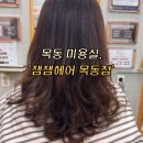 목동생고기 | 목동역 미용실 '잼잼헤어 목동점', 손상모복구디지털펌 후기