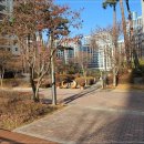 힐스테이트탑부동산중개사무소 이미지