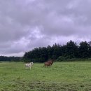 대춘목장 이미지