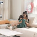 라이프메이트