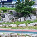 7월 5일(화요일) "아방 가르드는 당당하다." 백남준아트센터 관람, 기흥호수공원걷기 이미지