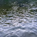 강계 | 강원도 강계 루어낚시 시즌 첫 출조 후기