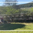 짚라인을 타고서💚 이미지