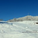 구즉도서관 이미지