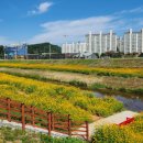 아름다운 마을 이미지