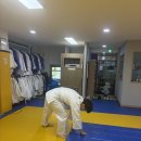 용인대 다산 유도관 네이버블로그