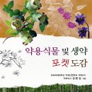 푸른생약