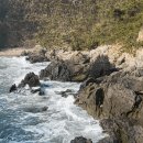 동백코스(서천-군산) 이미지