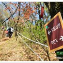 느림보강물길 이미지