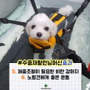 옥서스 하남센터 이미지
