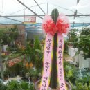 주성상사 이미지