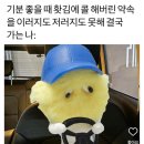 한신이젠수학 | 4월 일상 #2