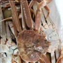 금성수산 이미지