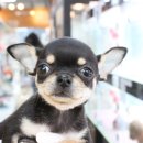 와와멍# 이미지