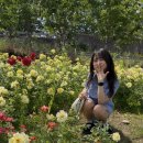 이한돈 | 나는 이제 너뿐야