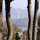 월영동147 이미지