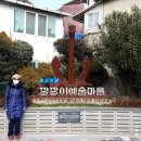 로타리건재 이미지
