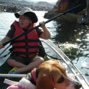 구미정야영장 화장실 | 정선 미락숲 오지캠핑