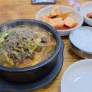 투잡 직장인 일상 260316~22 될때까지 하면 된다 일주일