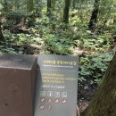 남조로사려니숲길 앞 이미지