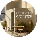 오도치308 이미지